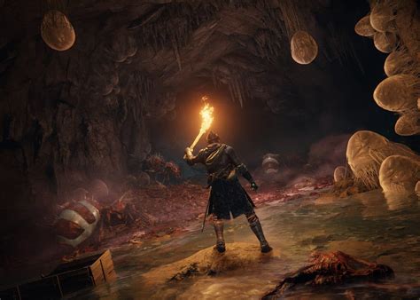 Gorgeous New Elden Ring Screenshots Released - MP1st