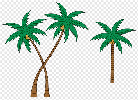 Escutcheon Polynesia Cachipay Coat Of Arms Heraldry Palm Tree Palm