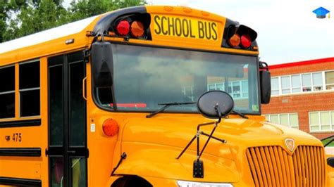 Why School Buses Are Yellow In Color School Bus Bus School