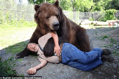Huge Kodiak Bear Still Loves To Hug His Adoptive Dad Mutually