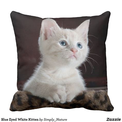 Blue Eyed White Kitten Throw Pillow Catlover Kitten Pillows