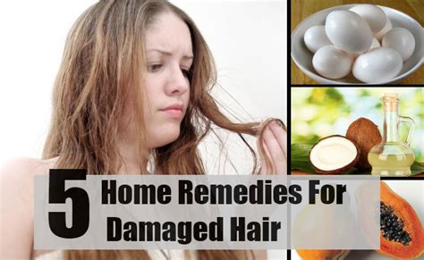 Damaged hair is delicate and sensitive. 5 Home Remedies For Damaged Hair - Natural Treatments & Cure For Damaged Hair | Find Home Remedy ...