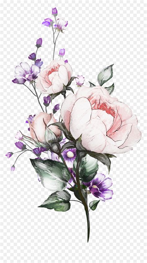 aesthetic flower drawing no background imagesee