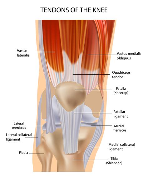Maybe you would like to learn more about one of these? Tendon and Bursitis Problems in the Knee