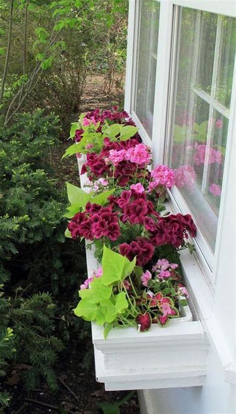 85 Awesome Shade Plants For Windows Boxes Ideas Page 23 Of 85