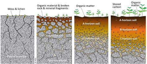 103 Soil Formation Environmental Geology