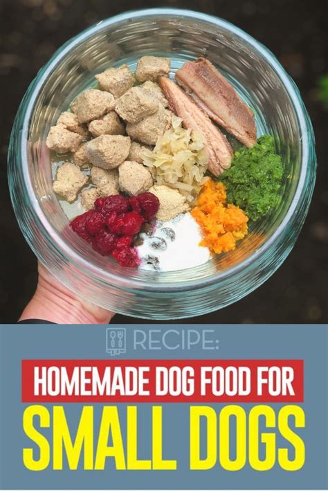 Homemade Dog Food For Small Dogs Dog Food Recipes Raw Dog Food
