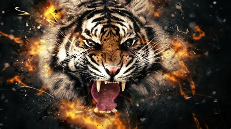 Tons of awesome 3d hd tiger wallpapers to download for free. Tiger Face Wallpaper ·① WallpaperTag
