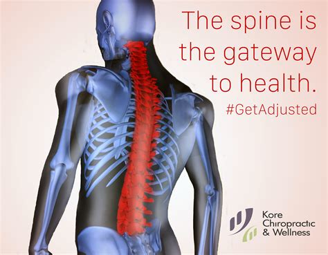 The Spine Is The Gateway To Health 💆 Getadjusted 👐 Chiropractic Chiropractor Chiropractic