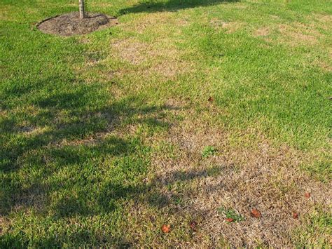 Maybe you would like to learn more about one of these? Lawn Talk By LawnTech