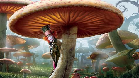 Alice In Wonderland Giant Mushroom Adventures In Wonderland