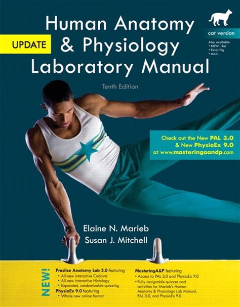 Marieb And Mitchell Human Anatomy And Physiology Laboratory Manual Cat Version Update 10th