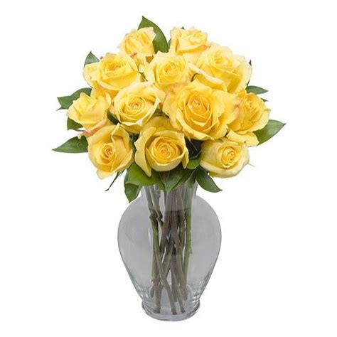 One Dozen Long Stem Yellow Roses Hand Delivered Same Day Delivery In