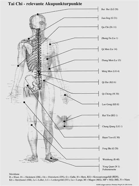 Qi Meridians And Acupuncture Points General Discussion Acupuncture Acupuncture Points Qigong