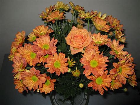 Orange Daisy Flowers And Orange Rose Flower Bouquet Roses