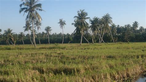 Seri Aktiviti Di Kampung