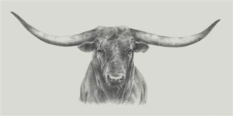 Longhorn Bull Painting By Ethan Harper Fine Art America