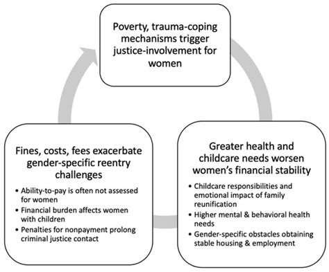 Social Sciences Free Full Text Gender And Financialization Of The Criminal Justice System