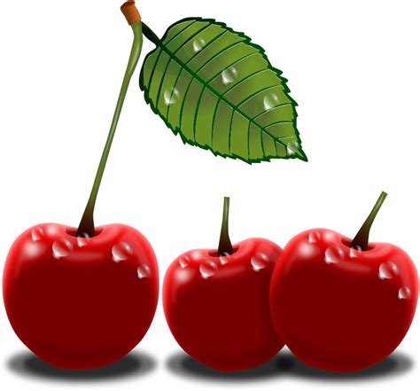 Free Single Cherry Vector Clip Art Library