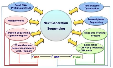 Next Generation Sequencing Machine