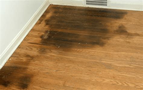 Black Spots On Hardwood Floors Causes And Solutions Flooring Designs