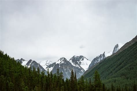 Premium Photo Path To Giant Mountains With Snow Across Green Valley