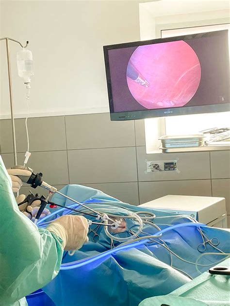 Chirurgie Mini Invasive BIOVET Saint Paul lès Dax