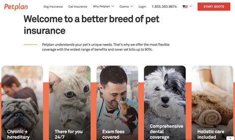 Maybe your pets are smaller mammals such as guinea pigs or hamsters. Petplan Pet Insurance Review (Updated Oct 2019 ...