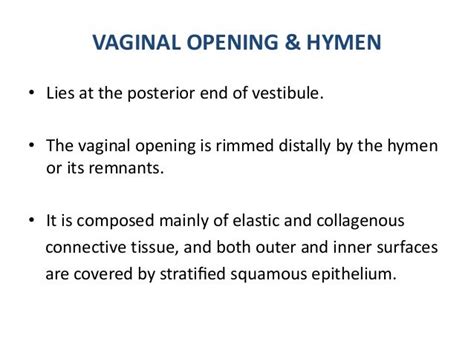 Anatomy Of Female External Genital Tract Urethra Urinary Bladder