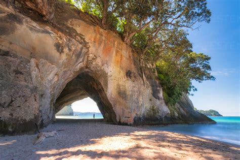 New Zealand Cathedral Cove Arch And Sandy Coastal Beach In Te