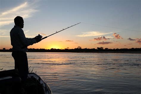 5 Dicas Para Um Chicote De Pesca Perfeito Mtk Brasil