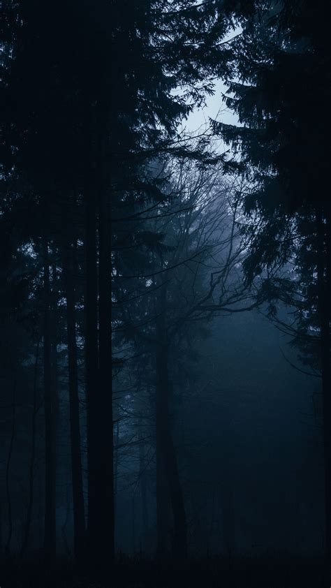 Download Wallpaper 2160x3840 Forest Fog Dark Trees Gloom Samsung