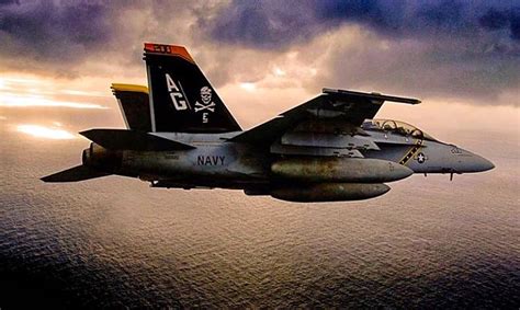 Usn Vfa 103 Jolly Rogers Fa18 Hornet Fighter Jets F 18 Aircraft