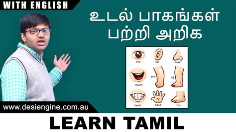 Human body parts name in tamil and english with images, மனித உடல் உறுப்புகள்,tamil. உடல் பாகங்கள் பற்றி அறிக | Learn about Body Parts | Learn Tamil | Desi Engine India - YouTube