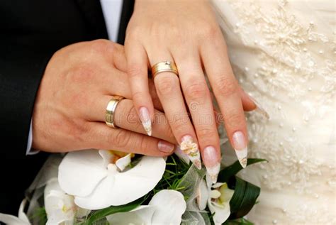 Just Married Couple Hands Stock Photo Image Of Human 11612656