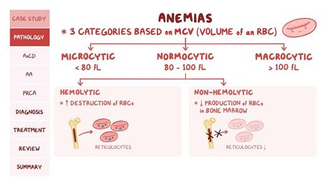 Non Hemolytic Normocytic Anemia Pathology Review Osmosis