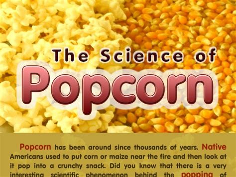 Why Does Popcorn Pop Mocomi Kids