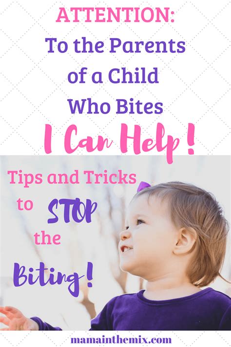 Proven Methods To Stop Biting In Toddlers And Beyond In 2020 With