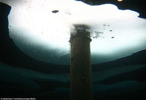 Photos Show The Amazing Sunken Forest Rising Out Of A Lake Underwater
