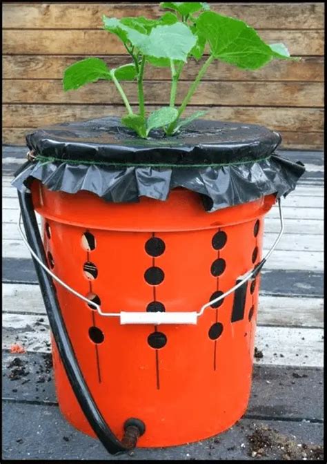 Make Your Own Self Watering Tomato Buckets Prepper Universe