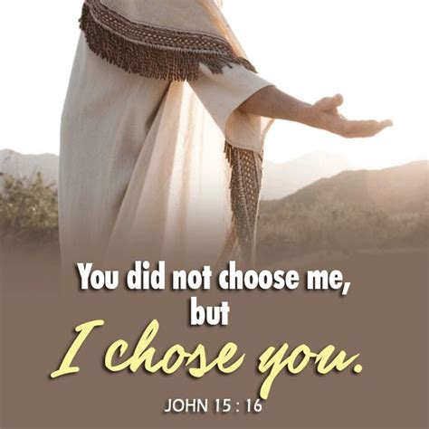 You Did Not Choose Me But I Chose You John 15 16 Favorite Bible