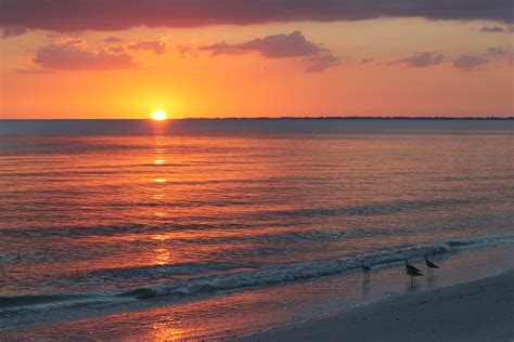 Gulf Coast Sunset Scenery Beach Scenes Scenes