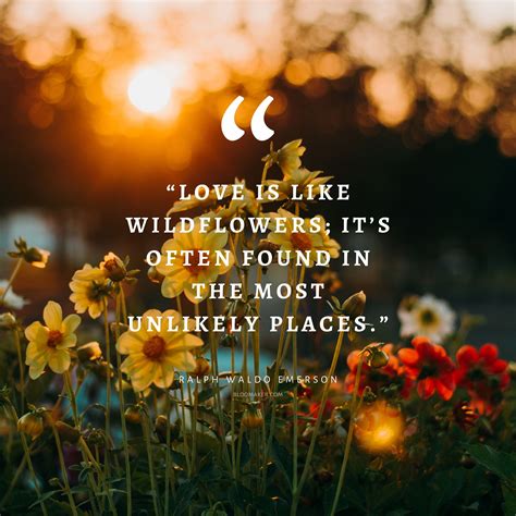 Love Is Like A Garden Quotes Takeoffmoms
