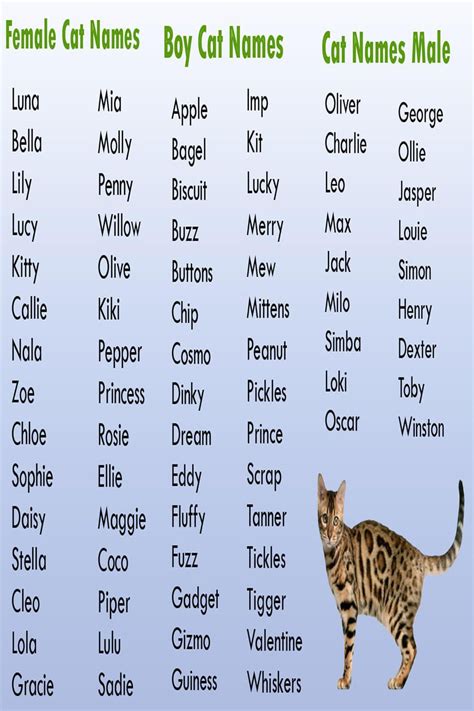Cat Names Male List