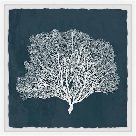 Sea Fan Coral By Marmont Hill Framed Animal Art Print 24 In X 24 In