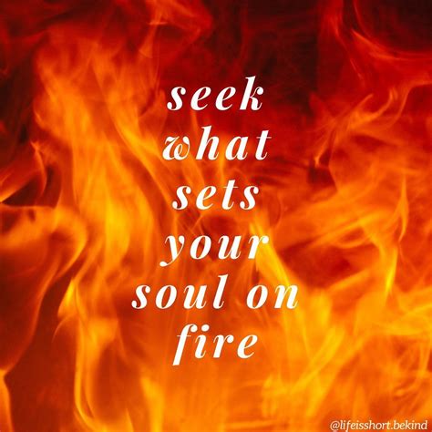 Quotes About Soul Quotes About Life Quotes About Seeking Quotes About Soul On Fire Quotes