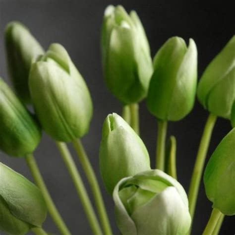 Tulipán Verde Artificial Tipo Natural Bodas Ramos Botonier Boutonniere
