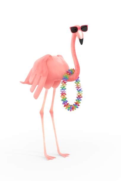 Pink Flamingo Sunglasses Illustrations Royalty Free Vector Graphics
