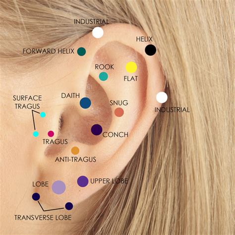 Cartilage Piercing And Jewelry Guide Freshtrends