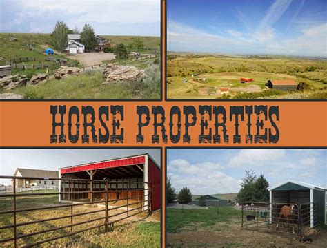 14 Horse Properties For Sale In The Billings Area